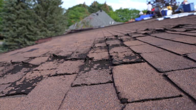 Best Solar Panel Roofing Installation  in Portsmouth, OH